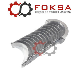 Zestaw panewek głównych