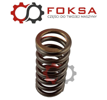 Sprężynka wtrysku Bosch