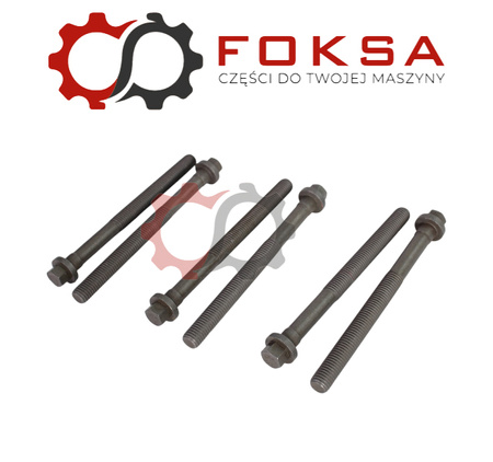 Śruba głowicy komplet 6 szt. Elring