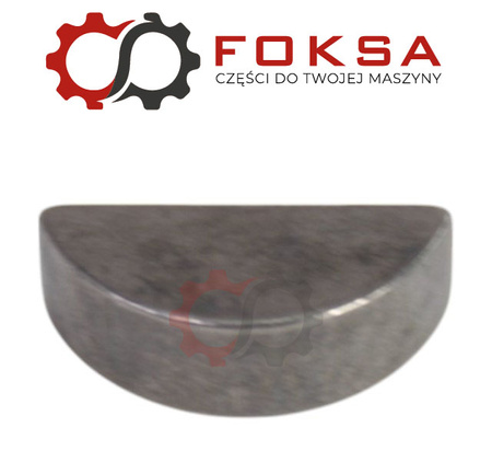 Wpust / Klin czółenkowy