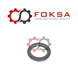 Pierścień wału przód ORG