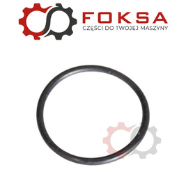 O-ring / Pierścień uszczelniający rurry ssącej ORG