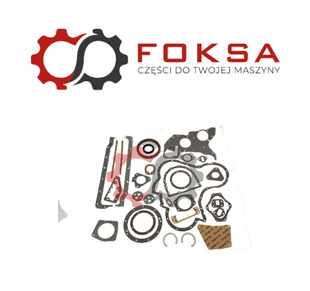 Zestaw uszczelek silnika REINZ