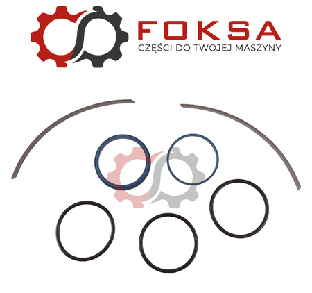 Zestaw naprawczy wysprzęglika dwutłoczkowego