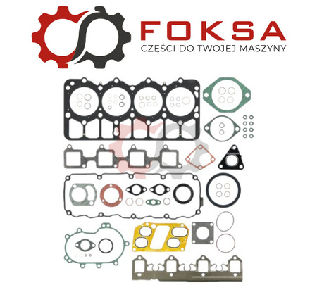 Zestaw uszczelek silnika REINZ