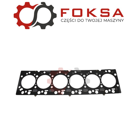 Uszczelka głowicy REINZ