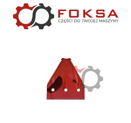 Nożyk kosy górnonacinany Rasspe