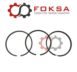 Panewki główne para 0,25 KMP