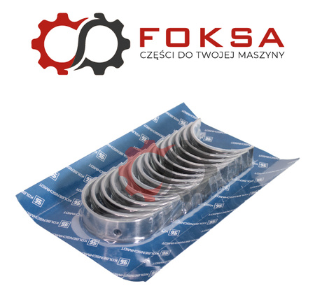 Zestaw panewek głównych STD KS