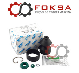 Zestaw naprawczy pompki sprzęgłowej CARLISE