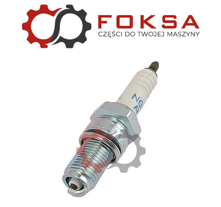 Świeca zapłonowa NGK