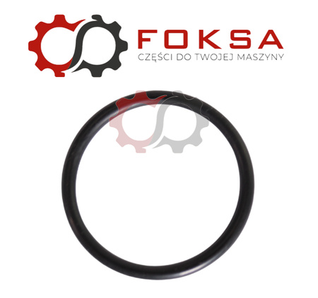 O-ring płyty montażowej pompy