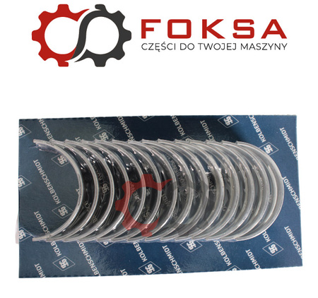 Zestaw panewek głównych STD KS