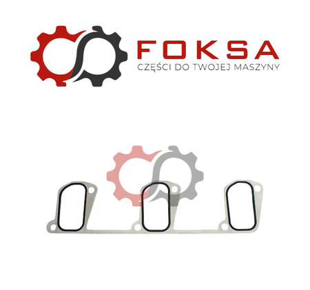 Uszczelka kolektora ssącego ORG