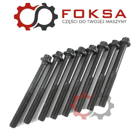 Zestaw śrub głowicy (8 szt zestaw na 1 głowcę