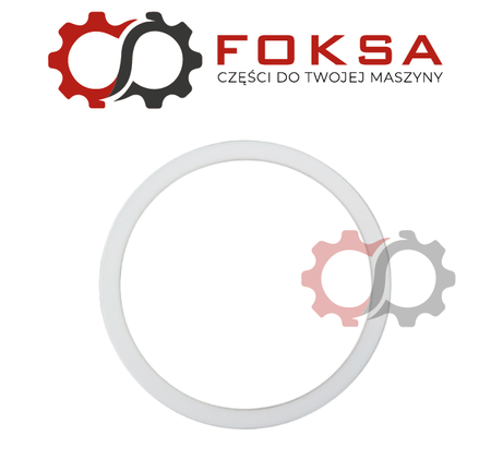 Pierścień prowadzący