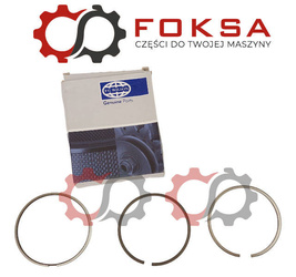 Pierścienie tłokowe ORG