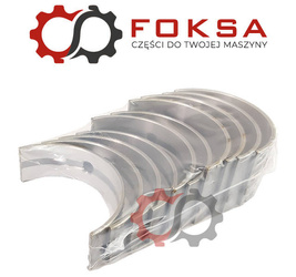 Zestaw panewek głównych KMP I szlif