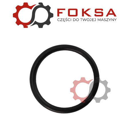 O-ring / Pierścień uszczelniający