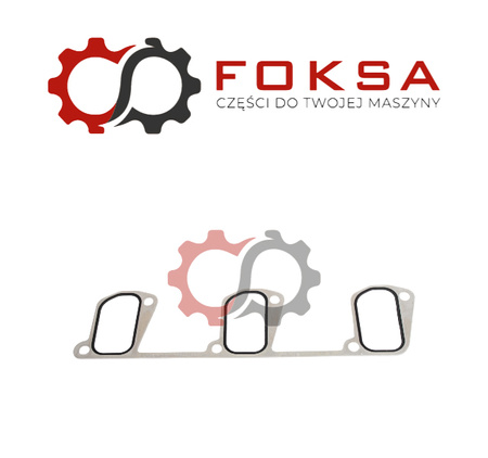 Uszczelka kolektora ssącego ORG