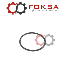 O-ring mechanizmu różnicowego