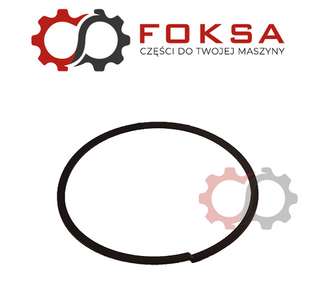 Pierścień uszczelniający