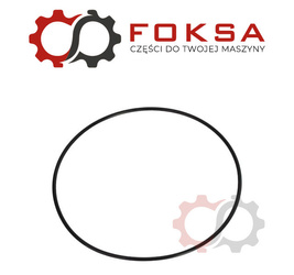 O-ring / Pierścień uszczelniający