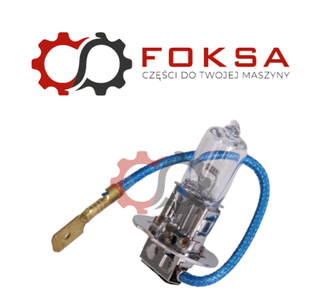 Żarówka halogenowa H3 CAREXPERT