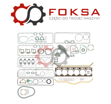 Zestaw uszczelek silnika REINZ