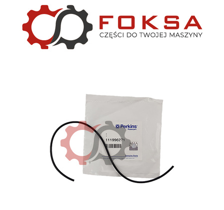 Uszczelka kolektora ssącego ORG