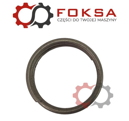 Pierścień sprężysty