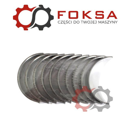 Panewki główne kpl. STD