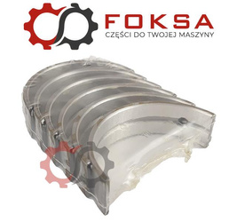 Zestaw panewek głównych KMP I szlif