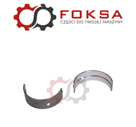 Panewka główna para STD