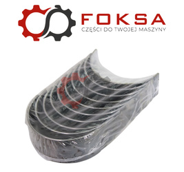 Panewki główne STD Mahle