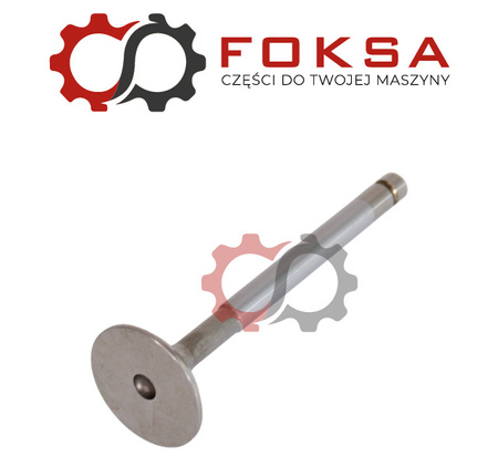 Zawór ssący / wydechowy