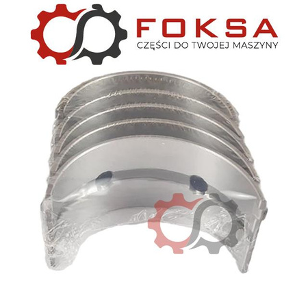 Zetaw panewek głównych I szlif