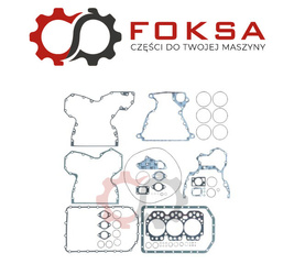 Zestaw uszczelek cały silnik REINZ