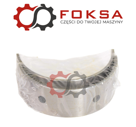 Panewka główna para STD