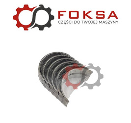 Panewki główne kpl. STD