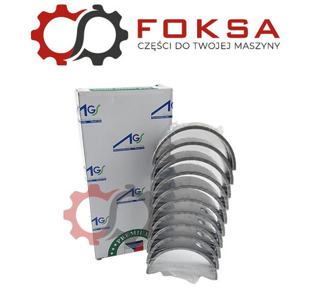 Zestaw panewek głównych I szlif