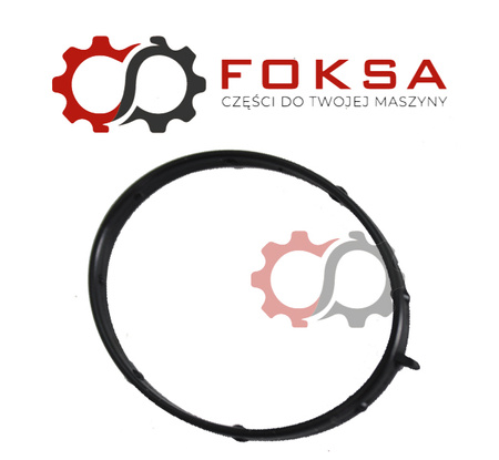 O-ring pompy wody ORG