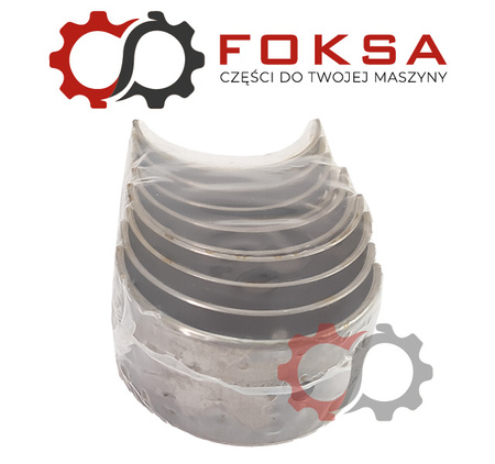 Zestaw panewek głównych KMP I szlif