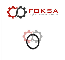 Uszczelniacz wtrysku ORG