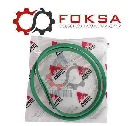 Uszczelniacz tłoka ORG