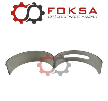 Panewki główne - PARA - KS