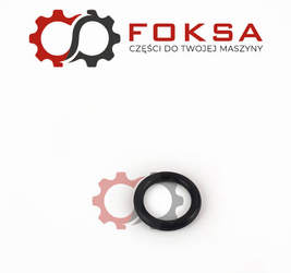 O-ring