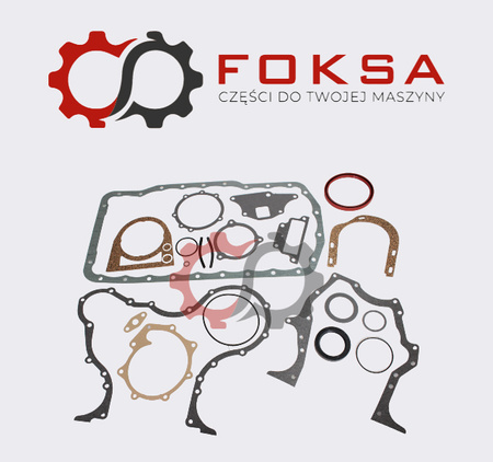 Zestaw uszczelek silnika dół REINZ