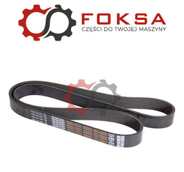 Pasek wielorowkowy Dayco