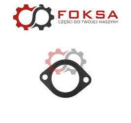 Uszczelka termostatu ORG